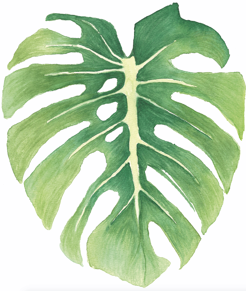 Mi Proyecto del curso: Acuarela botánica para estampados 3