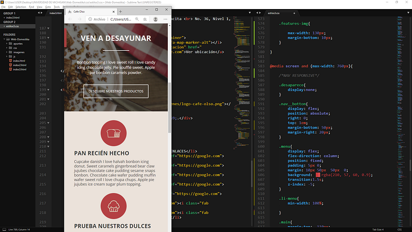 Mi Proyecto del curso: Introducción al Desarrollo Web Responsive con HTML y CSS 7