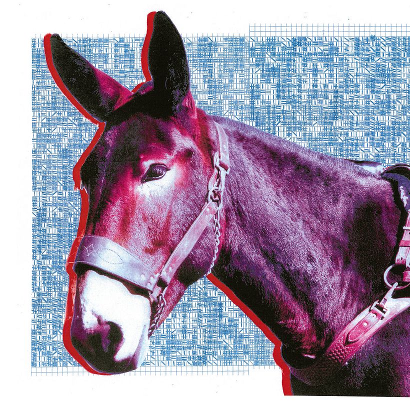 Protomartyr – 'Ultimate Success Today'