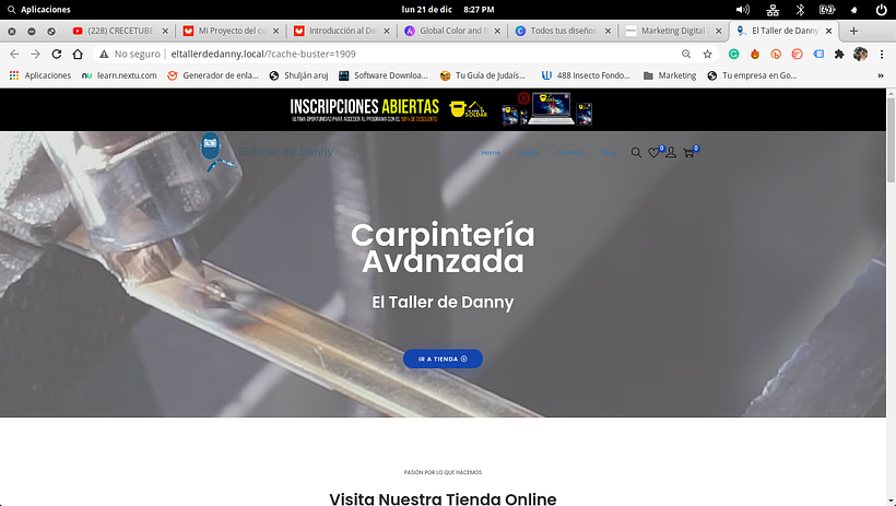 Proyecto de Danny Villarreal Creacion de una pagina web con WordPress