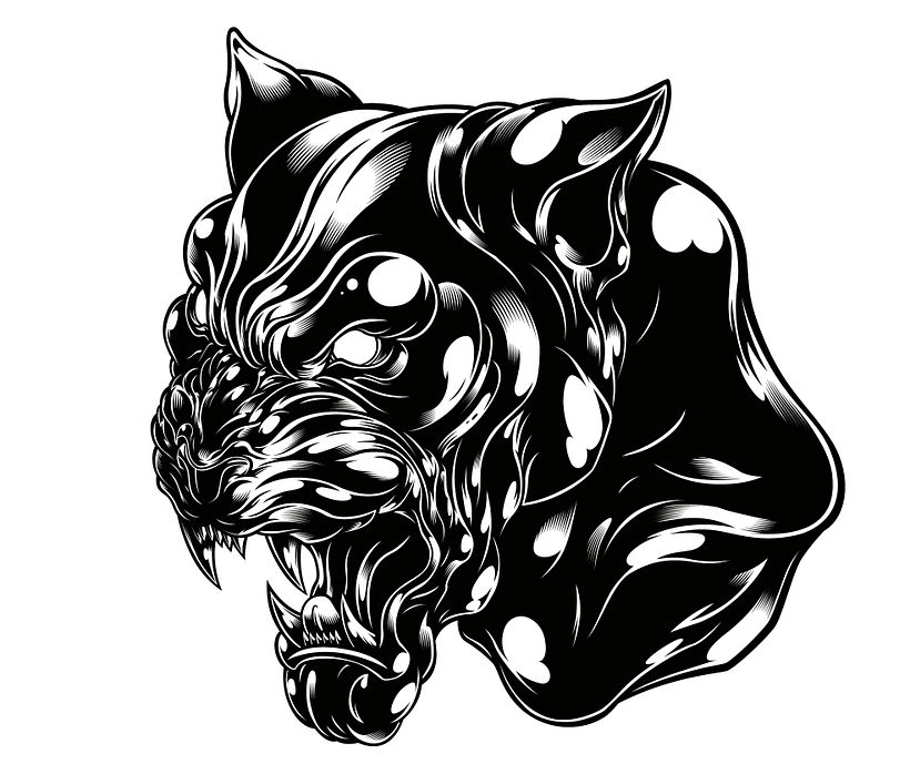 Instinct Pre Workout 0