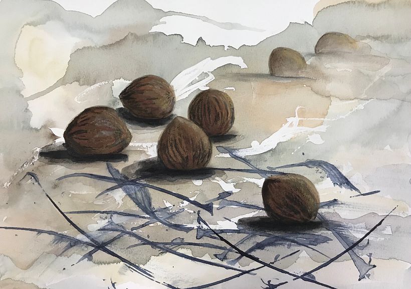 We have several black walnut tree around our house. I took the lead from Laura, as she chose her plums, I used our walnuts.