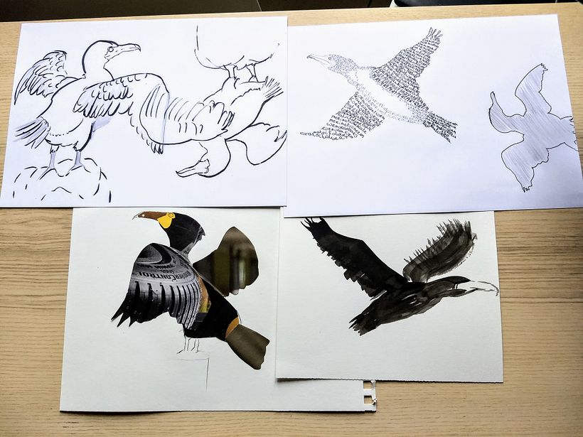 My updated project in Illustrating Nature: A Creative Exploration course 0