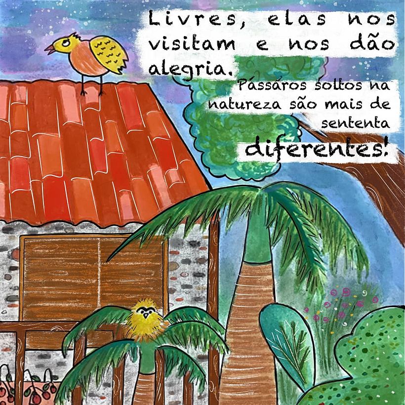 A corujinha do vovô 4