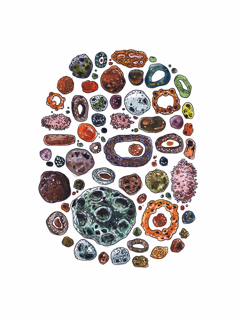 An exploration of color, texture and imagination.