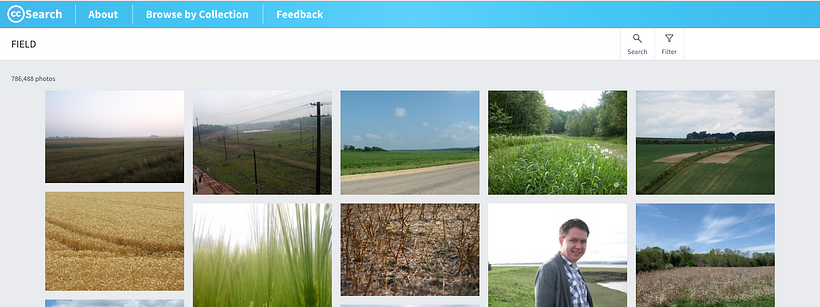 CC Search websites for free stock images