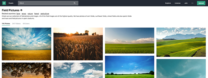 Pexels websites for free stock images