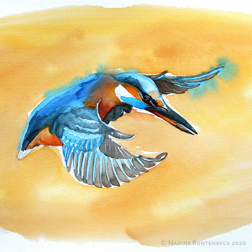 Watercolour birds 1