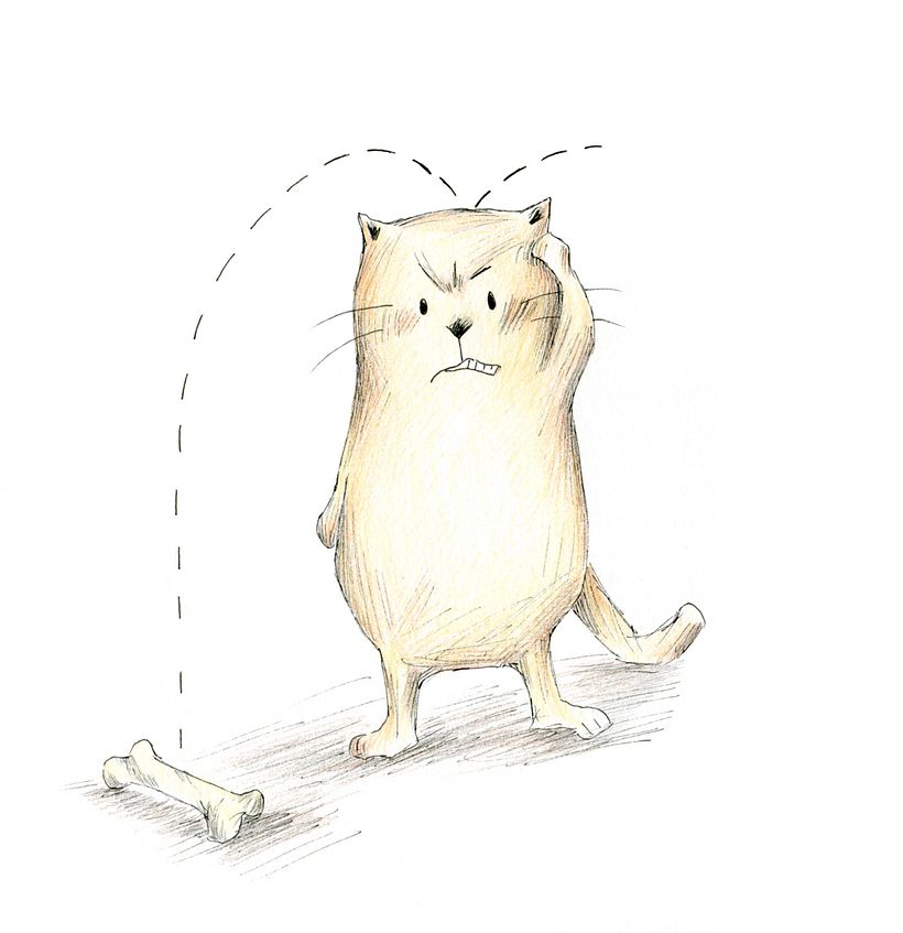 Here Comes Valentine Cat 0