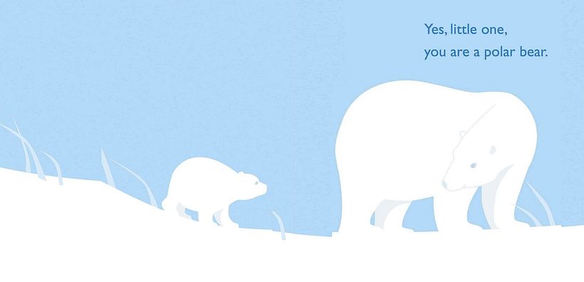 My Little Polar Bear -1
