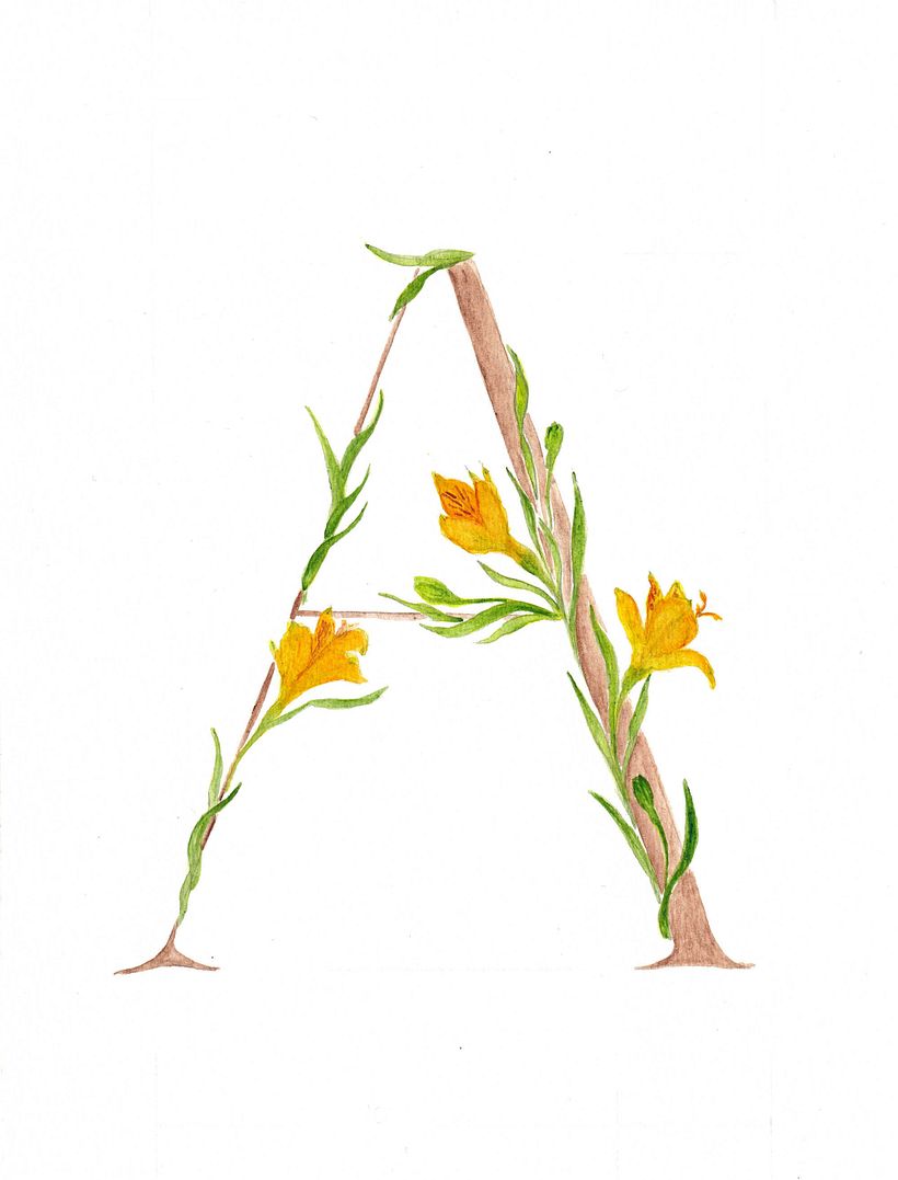 Abecedario Flores de la Patagonia 0