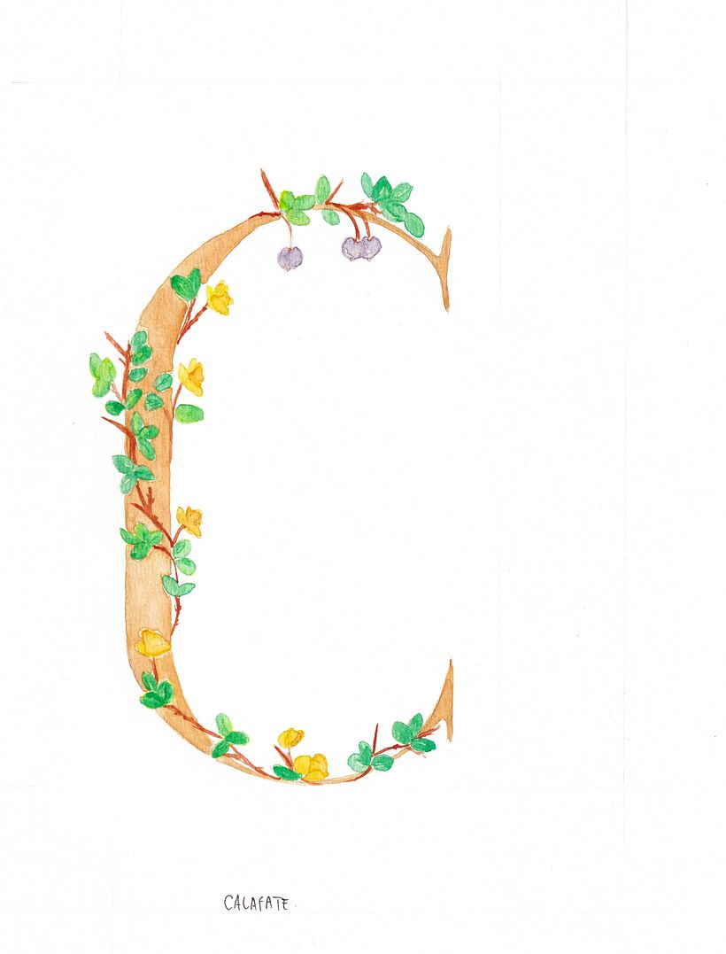 Abecedario Flores de la Patagonia 1