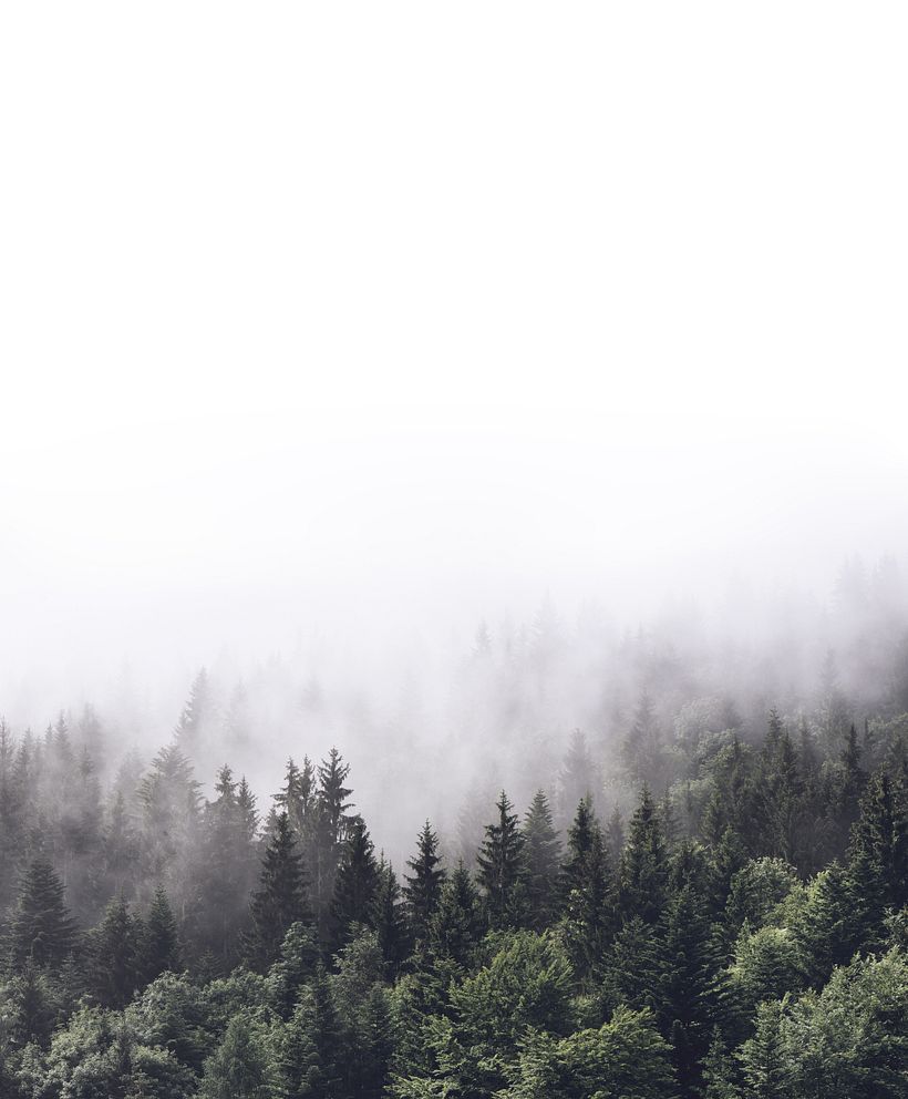 "HOWL " 8