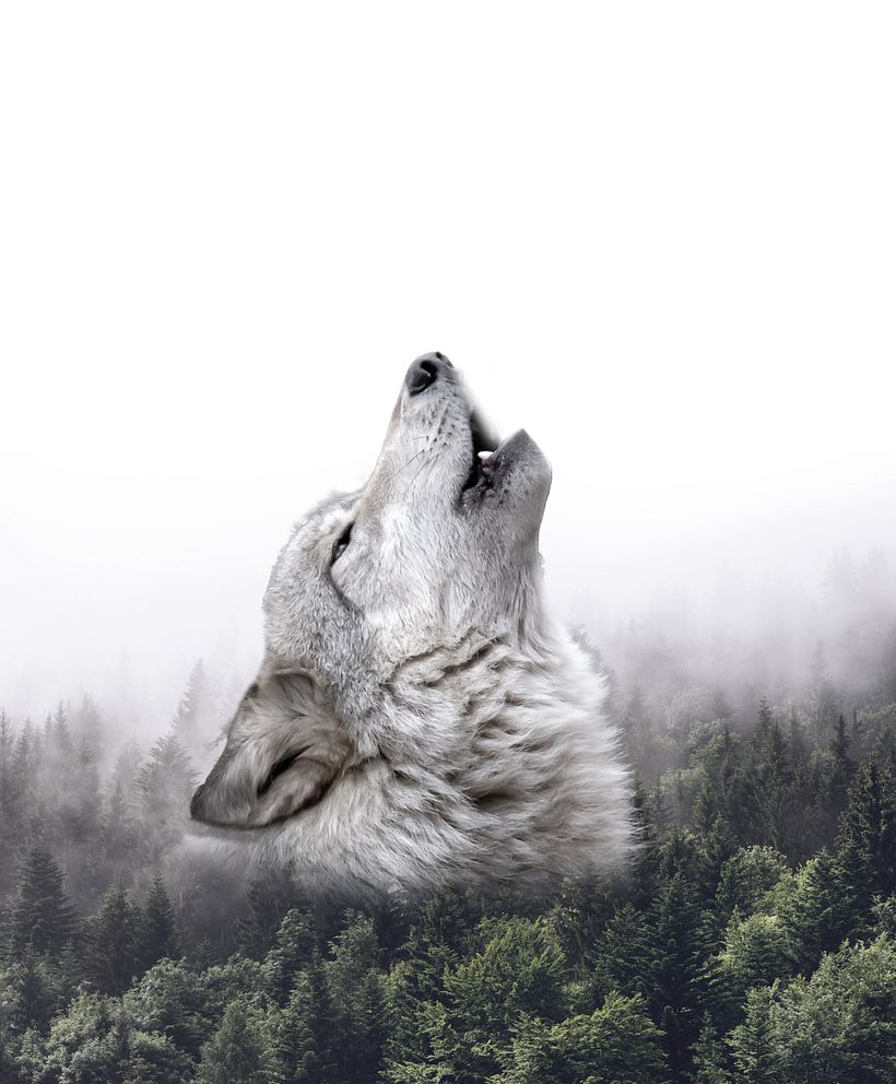 "HOWL " 9