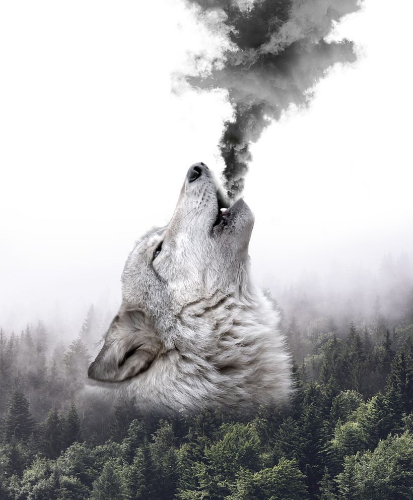 "HOWL " 10