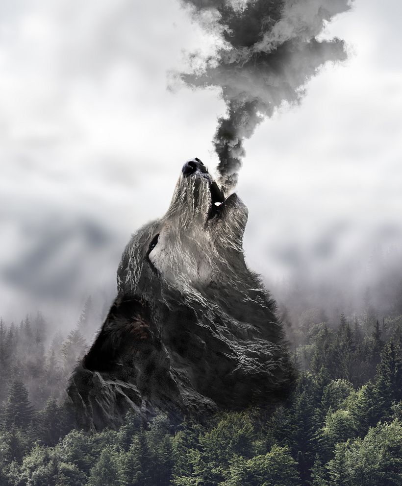 "HOWL " 12
