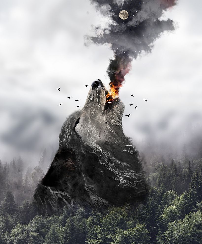 "HOWL " 13