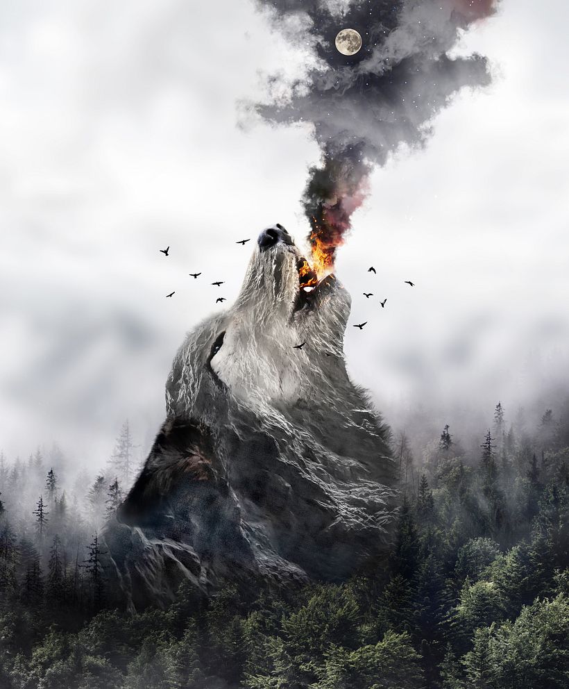 "HOWL " 14