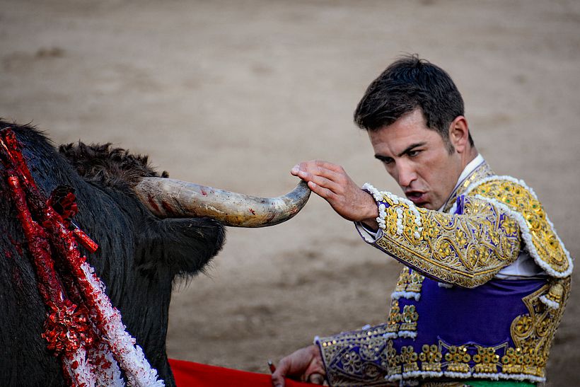 Torero