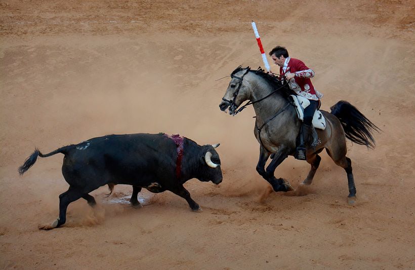 Portafolio parcial Taurino 2