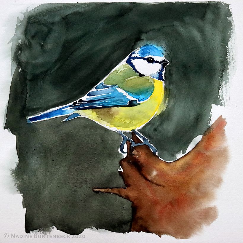 Watercolour birds 3