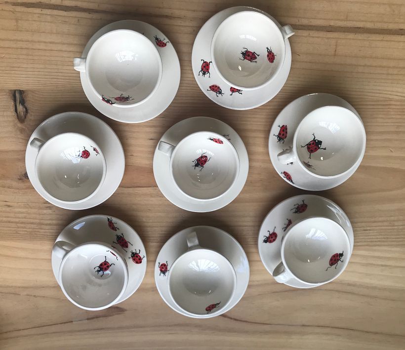 Vajilla Mariquitas - Cliente Particular 2