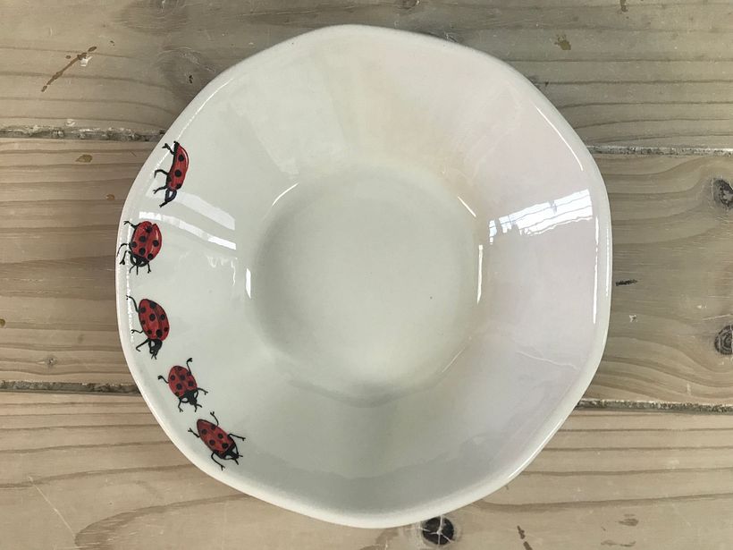 Vajilla Mariquitas - Cliente Particular 4