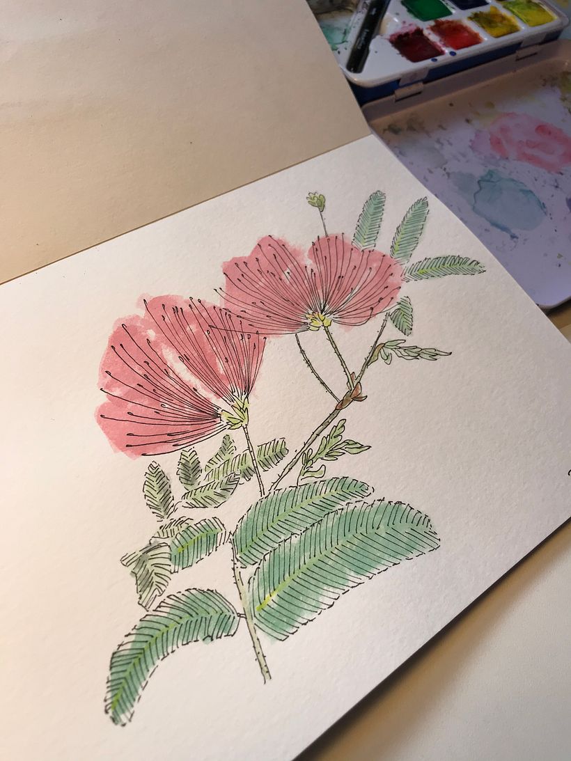 Caderno botânico em aquarela - Yukie 9