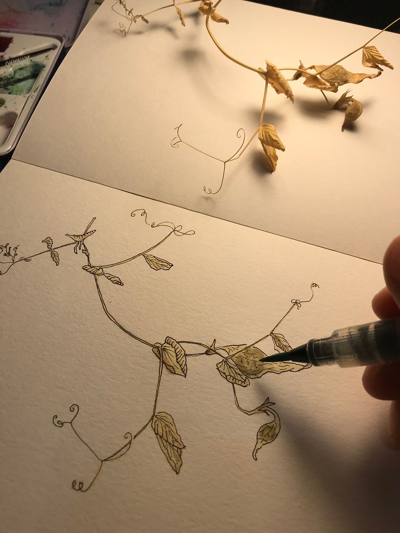 Caderno botânico em aquarela - Yukie 12