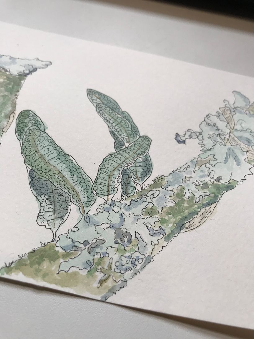 Caderno botânico em aquarela - Yukie 13