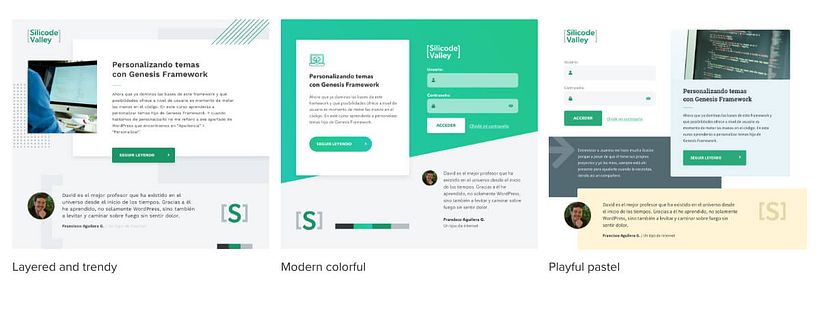 Silicode Valley Website Design 6