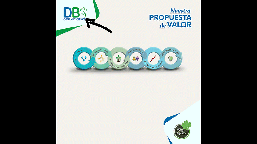 Borde blanco en GIF  :-( 1