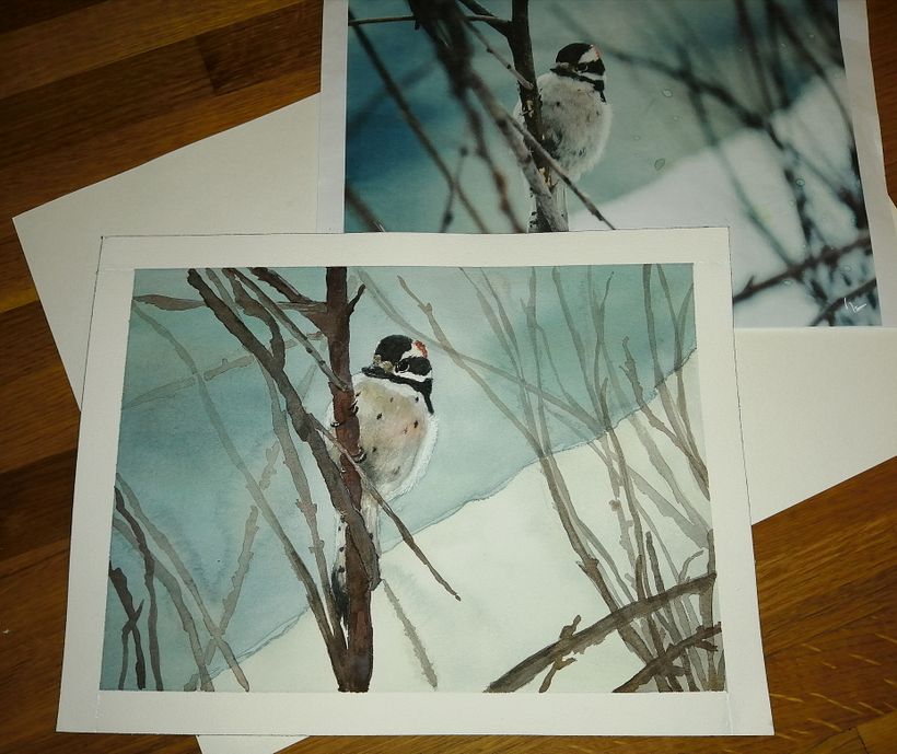 Bird in winter, second picture