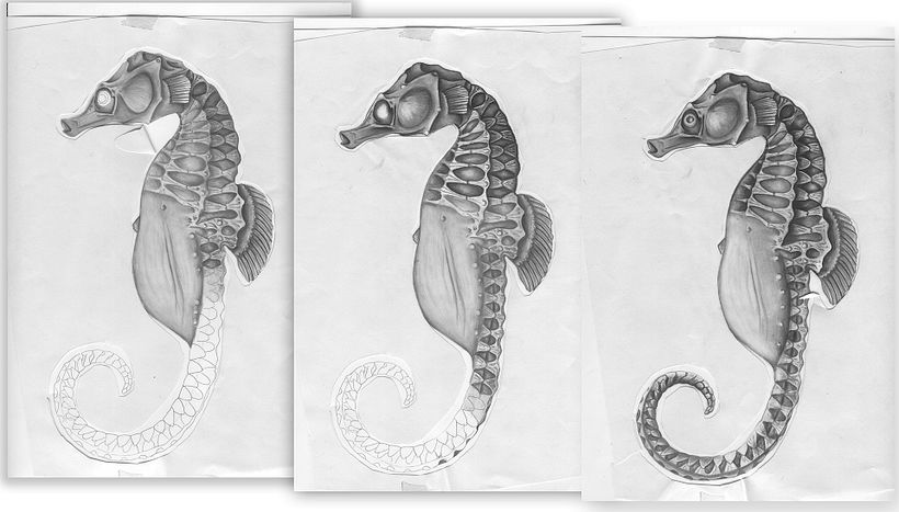 Pasos del sombreado realizado con grafito.