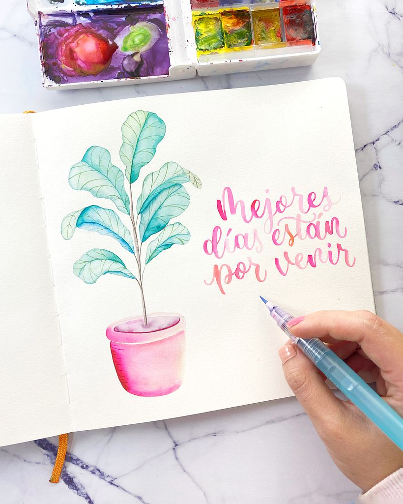 Colección: Letras y acuarelas botánicas  5