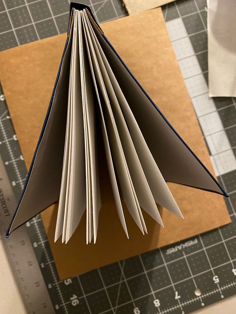 The cover has bowed a bit. It may still be a bit wet & is now back under weight.