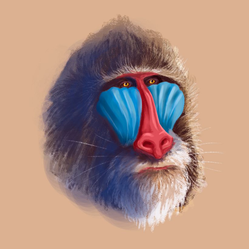 Meu projeto do curso: Pintura digital de personagens: ilustre com luz e cor 4