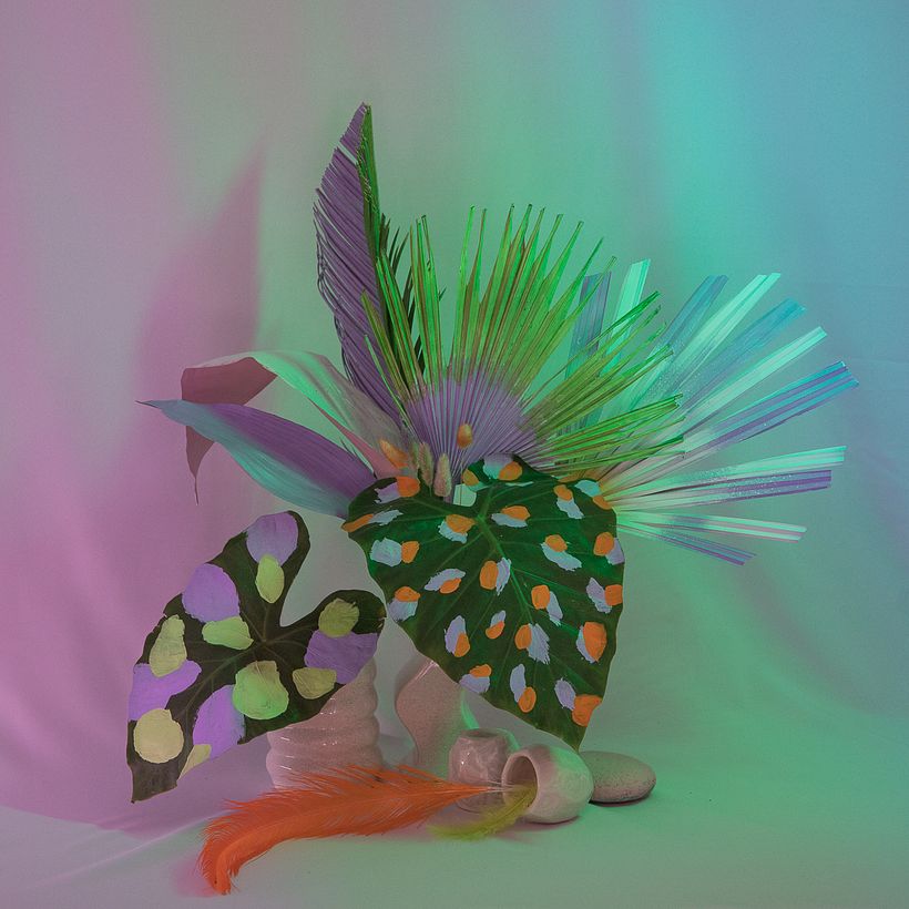 Dirección de Arte - Alga 8