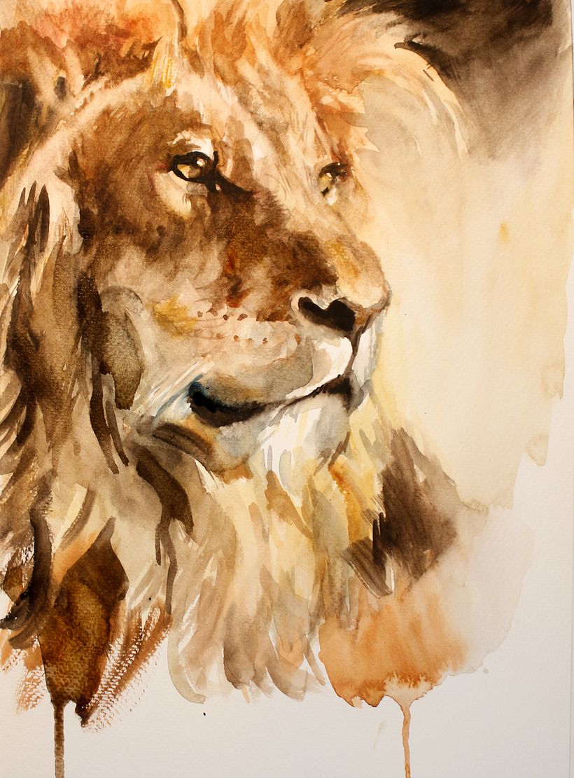 Lion, watercolor on paper, 25x35cm, 2020.