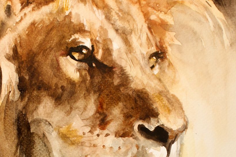 Lion, detail.