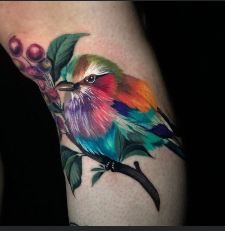 Las aves de Michell Gómez.