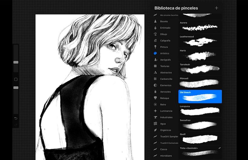 Efeitos gerados por Elena Garnu