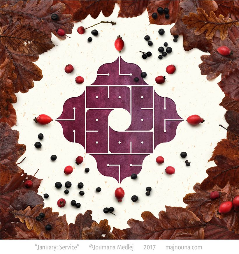 January: Fallen leaves of Oak, Beech and Birch; Rose hips, Hawthorn, Buckthorn.
