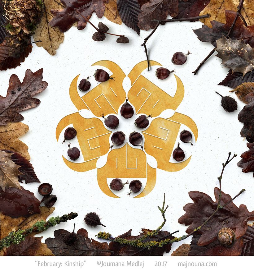 February: Leaves of Oak, Beech, Maple, Holly, Birch; Conkers, Acorn and Beech husks; Snail shell, Pine cones, Lichen.