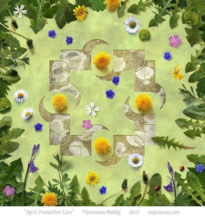 April: Dandelion, Daisies, Green Alkanet, Stinging Nettles, Lesser Celandine, Addersmeat, Cleavers, Herb-Robert, Bluebells...