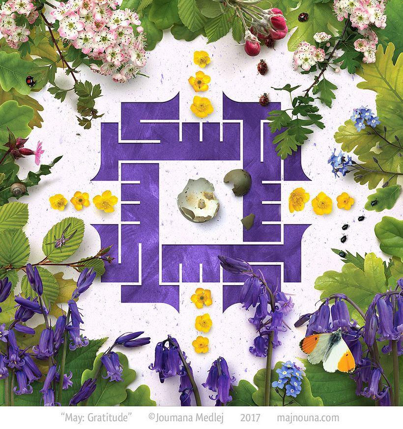 May: Leaves of Oak, Beech, Hawthorn; Bluebells, Buttercup, Forget-me-not, Pink Campion; Orange-tip, Ladybirds, Snail, Egg...