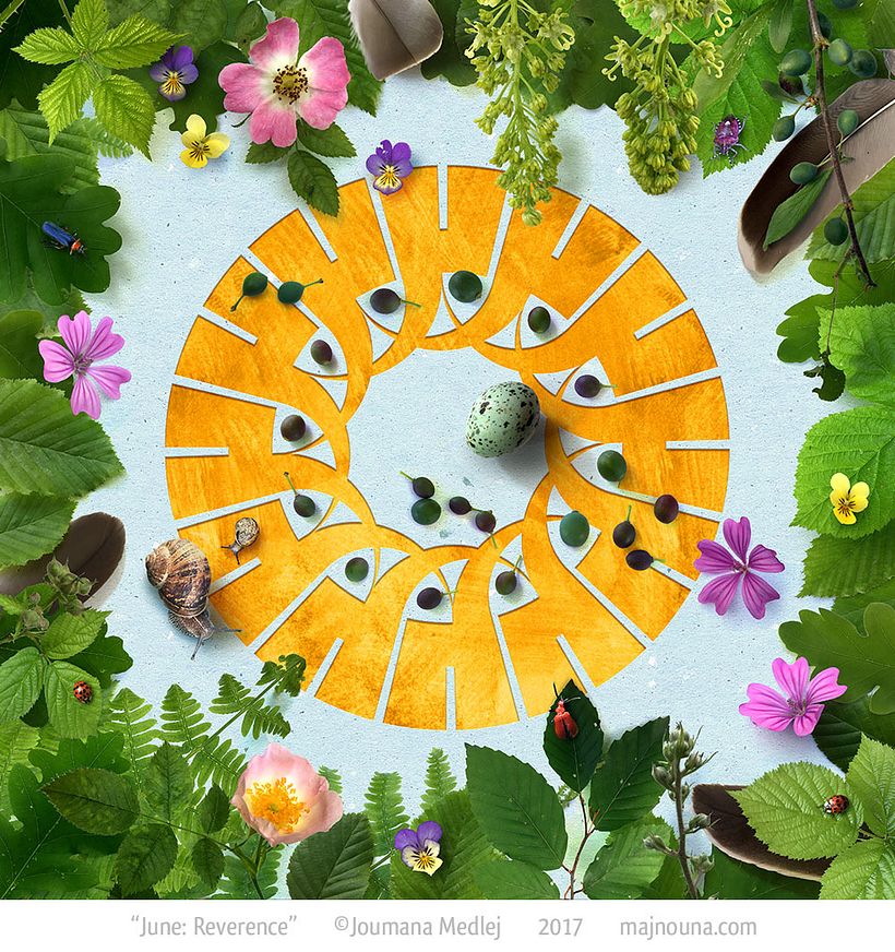 June: Leaves, Sycamore flowers, Mallow, Dog rose, Heart’s ease; Greylag goose feathers, Song thrush egg; Shield bug, ...