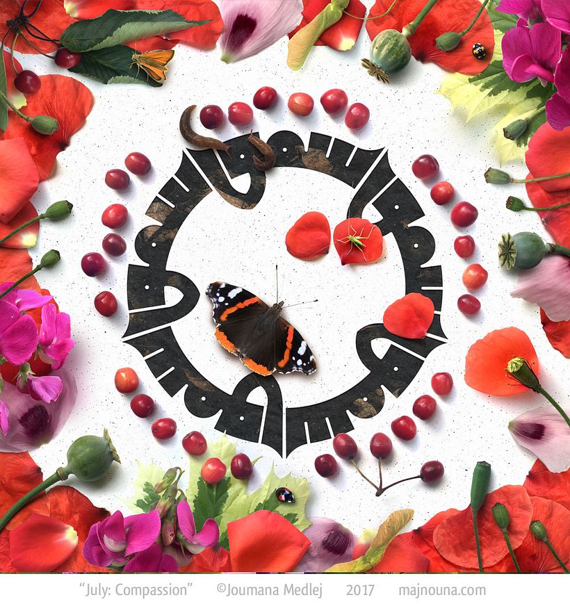 July: Poppy, Rose petals, Maple leaves & samaras, Wild cherries, Sweet Pea; Red Admiral, Small Skipper, Grasshopper, Slug...