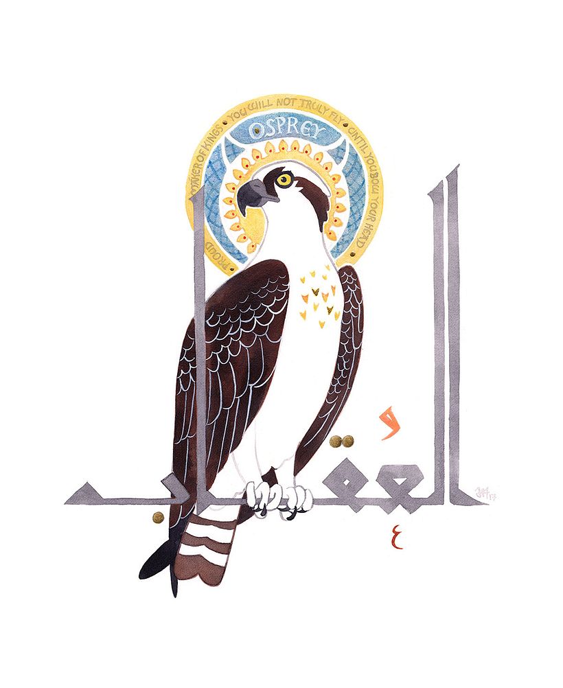 The osprey symbolizes pride and doesn't feel he needs to bother looking for the Simorgh.