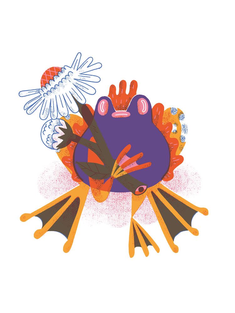 Dónde guardar un libro gigante / Harper Collins 10